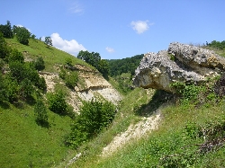 Paraul Bobii Garbova de Sus