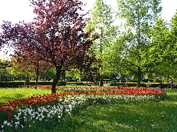 Parcul central Nicolae Titulescu (Brasov)