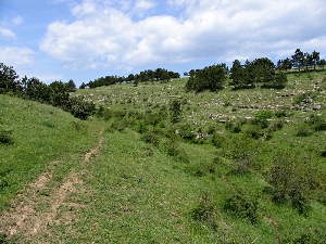 Canion Hagieni