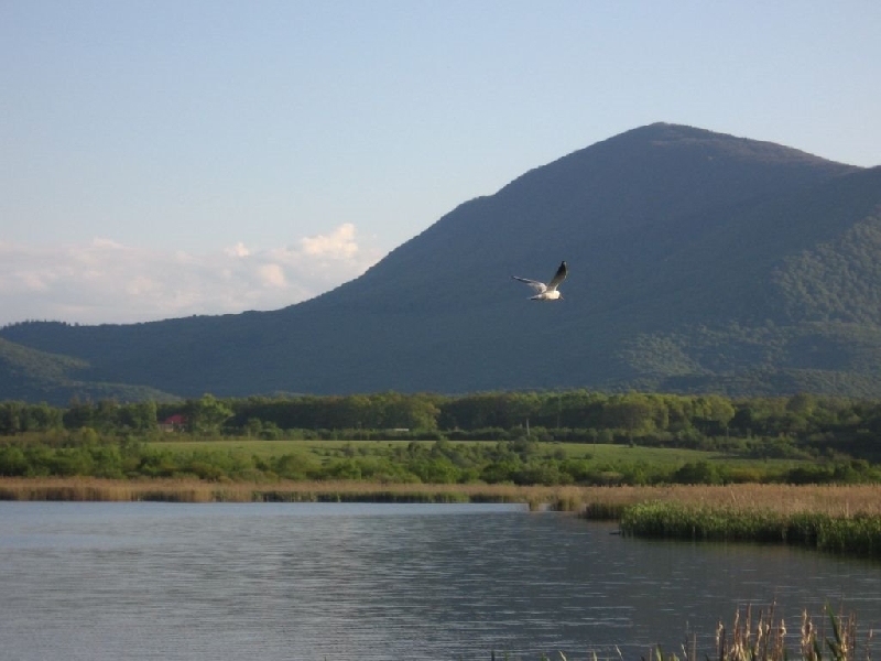 Lacul Dumbravita