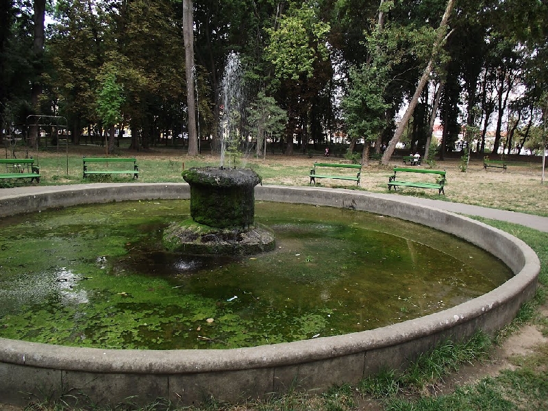 Parcul Dendrologic din Carei
