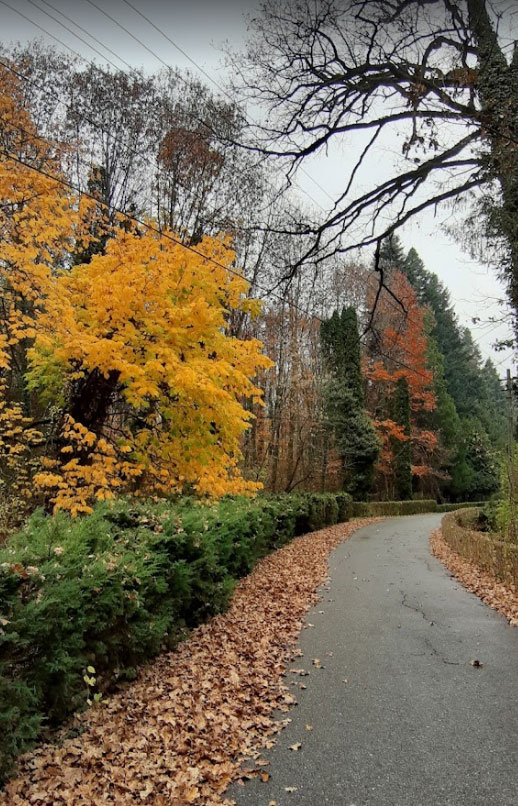 Parcul dendrologic din Mihaesti