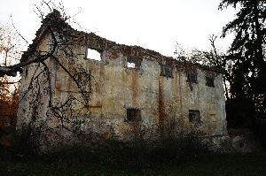 Castelul Nemes (Budila)
