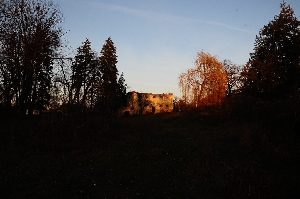 Castelul Nemes (Budila)