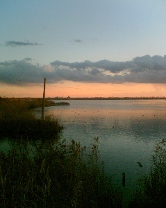 Lacul Amara
