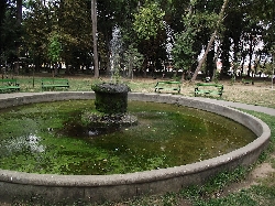 Parcul Dendrologic din Carei