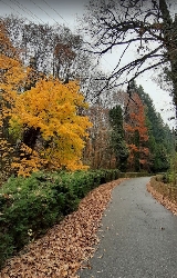 Parcul dendrologic din Mihaesti