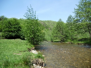 Rezervatia Cheile Carasului
