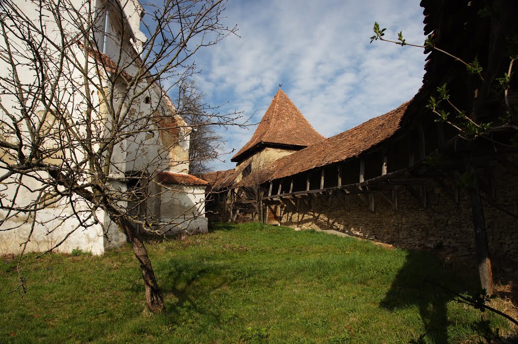 Biserica evanghelica fortificata din Roades