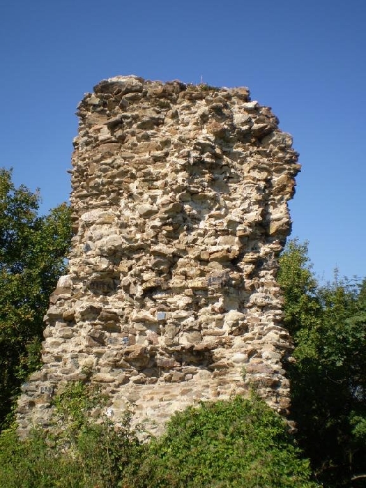 Cetatea regala a Hategului (Subcetate)
