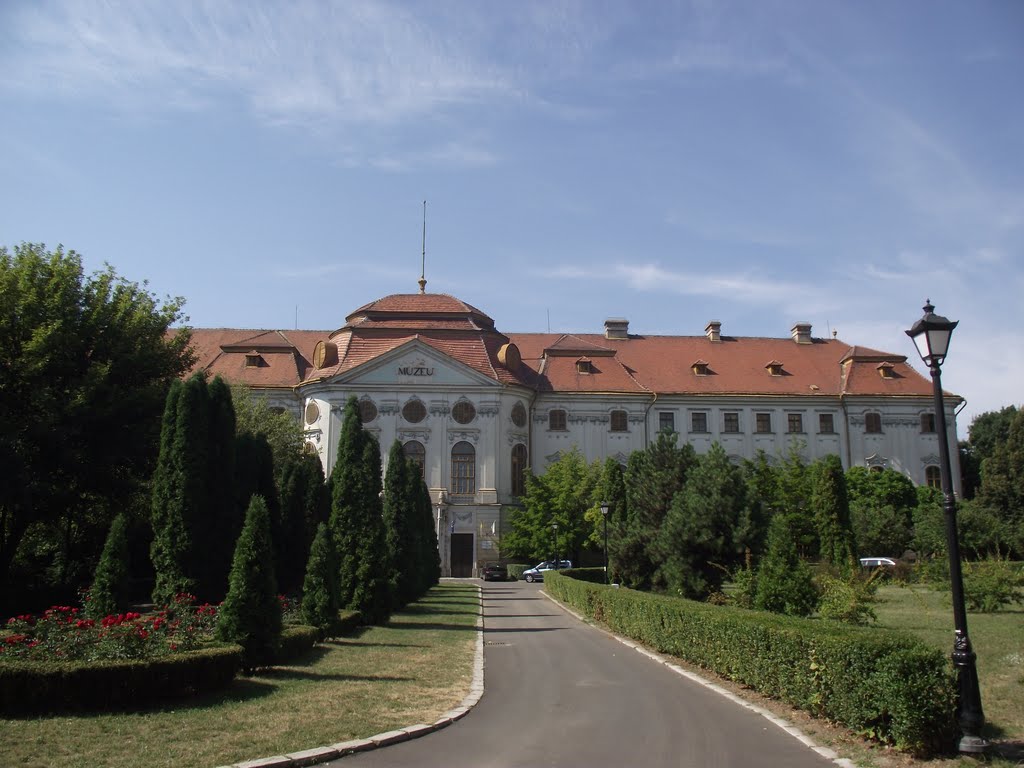 Palatul Episcopiei Romano-Catolice din Oradea