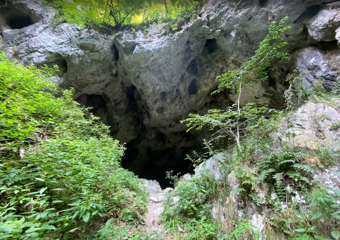 Pestera de la Coltul Surpat