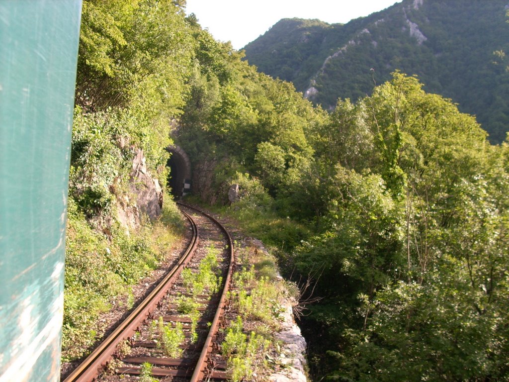 Prima linie de cale ferata montana din tara Oravita-Anina