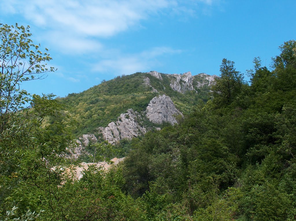 Rezervatia naturala Valea Mare