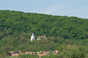 Biserica evanghelica fortificata din Fiser