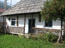Colectia muzeala privata - Sandominic