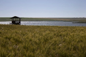 Lacul Techirghiol