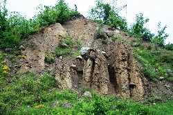 Locul fosilifer de la Apadia