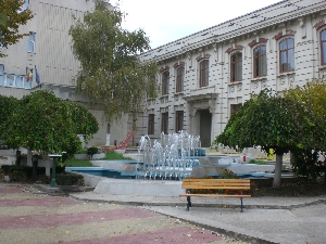 Muzeul de Arta Constanta