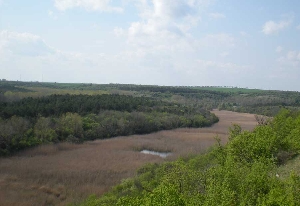 Rezervatia Naturala Padurea Hagieni